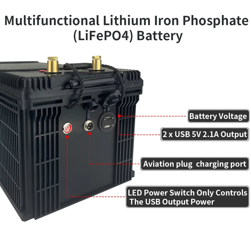 12, 24V Lithium Iron Phosphate Battery With BMS 6,12,30,40,80,100,120, 200,Ah For Golf Cart Solar Energy