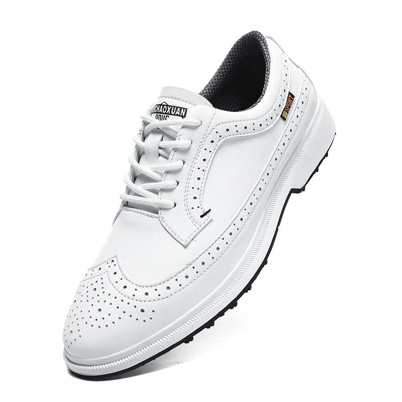 Spring / Summer / Autumn Four Seasons Golf Shoes for Men Waterproof and Breathable